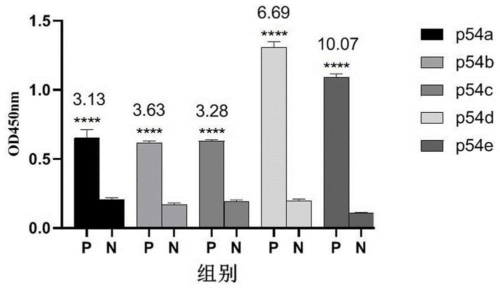 非洲猪瘟病毒p54蛋白抗原表位及其应用