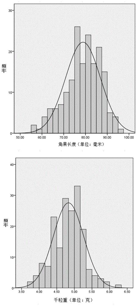 甘蓝型油菜粒重和角果长度主效QTL位点的分子标记及其应用