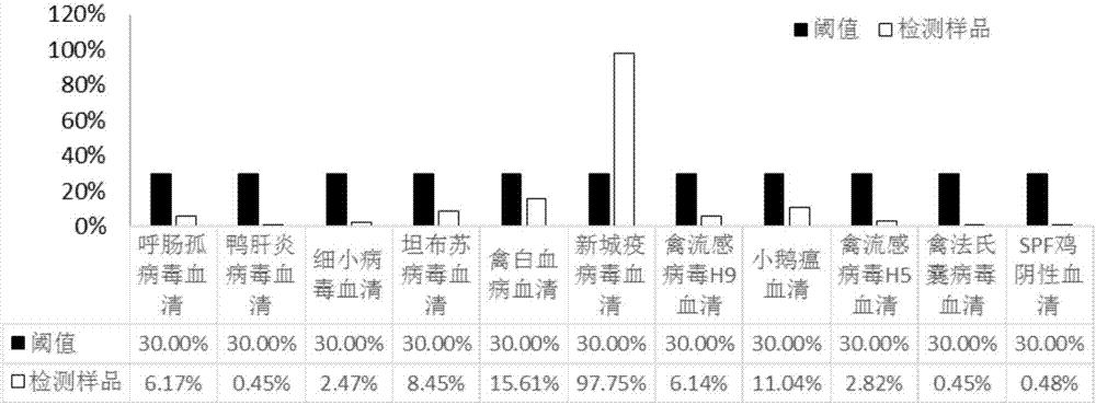 新城疫病毒抗体检测阻断ELISA试剂盒