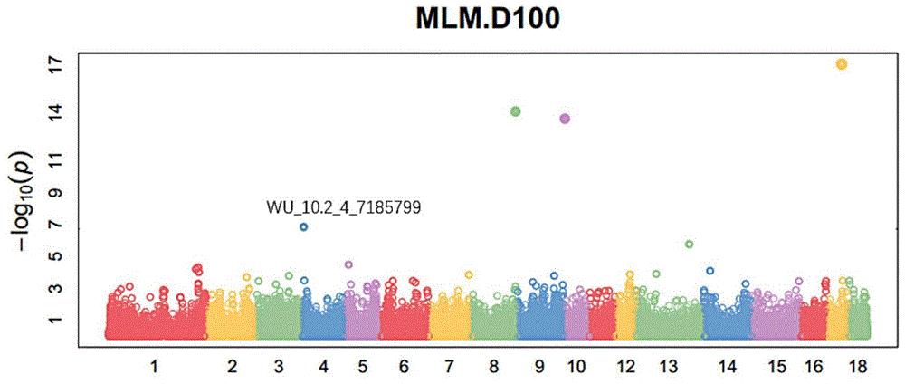 一种评价猪达100kg体重日龄的分子标记及其应用