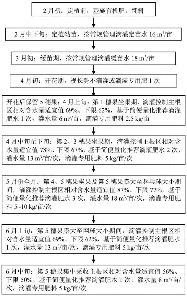高产设施冬春茬番茄滴灌肥水一体化控制与管理方法
