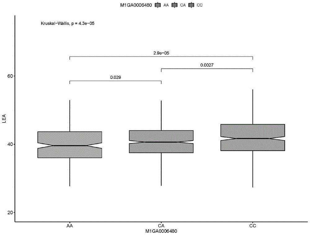 一种鉴定或辅助鉴定猪眼肌面积的方法及其应用
