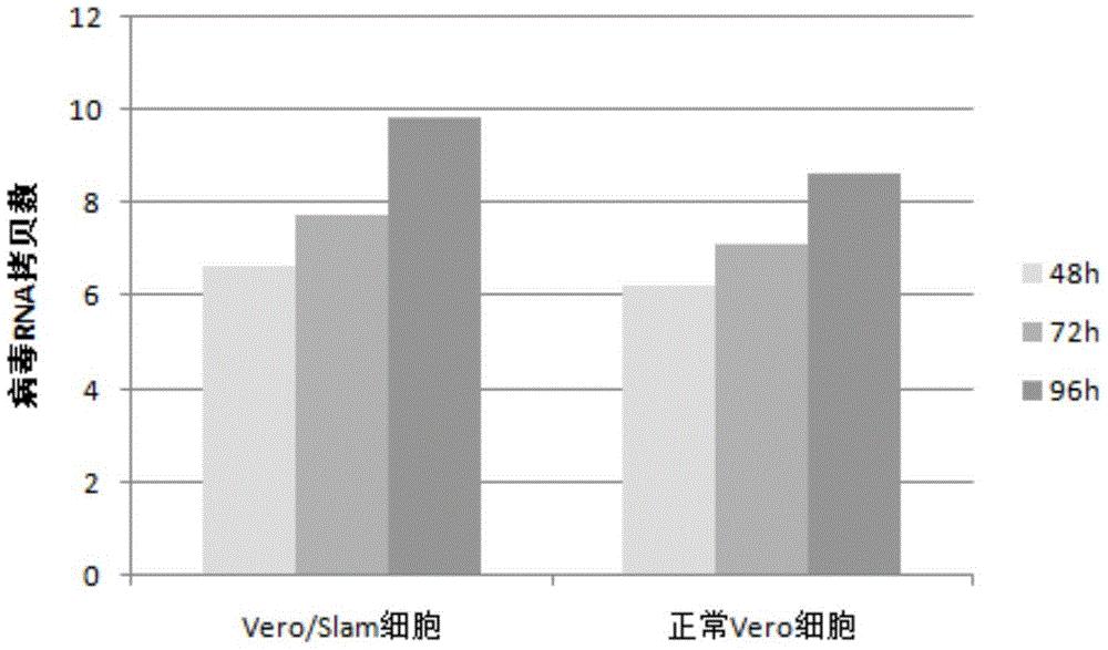一种用于增强PPRV复制的敏感细胞亚克隆Vero/Slam的制备方法
