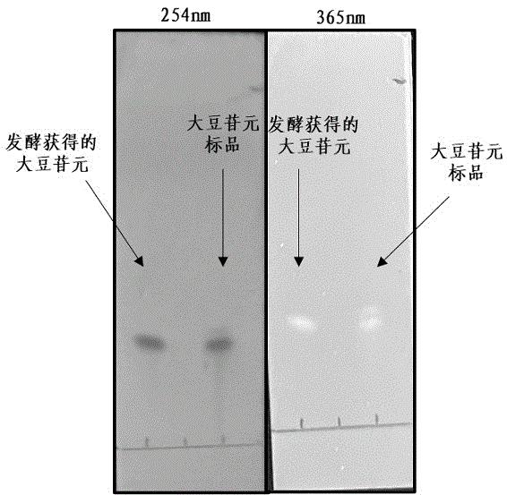 一种固体发酵豆粕制备大豆苷元的方法