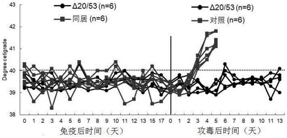 非洲猪瘟多基因联合缺失减毒株的构建及作为疫苗的应用