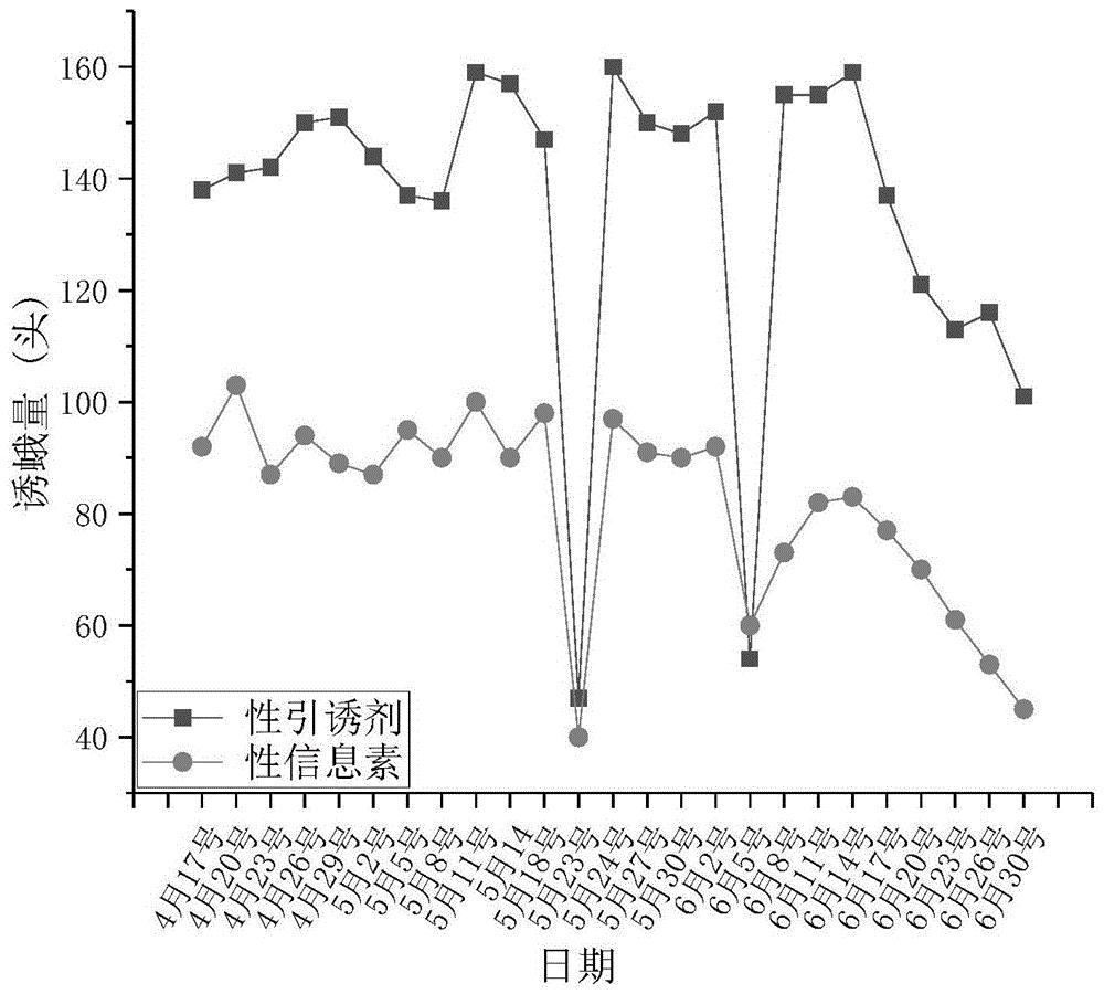 一种系统优化的马铃薯块茎蛾性引诱剂及其应用