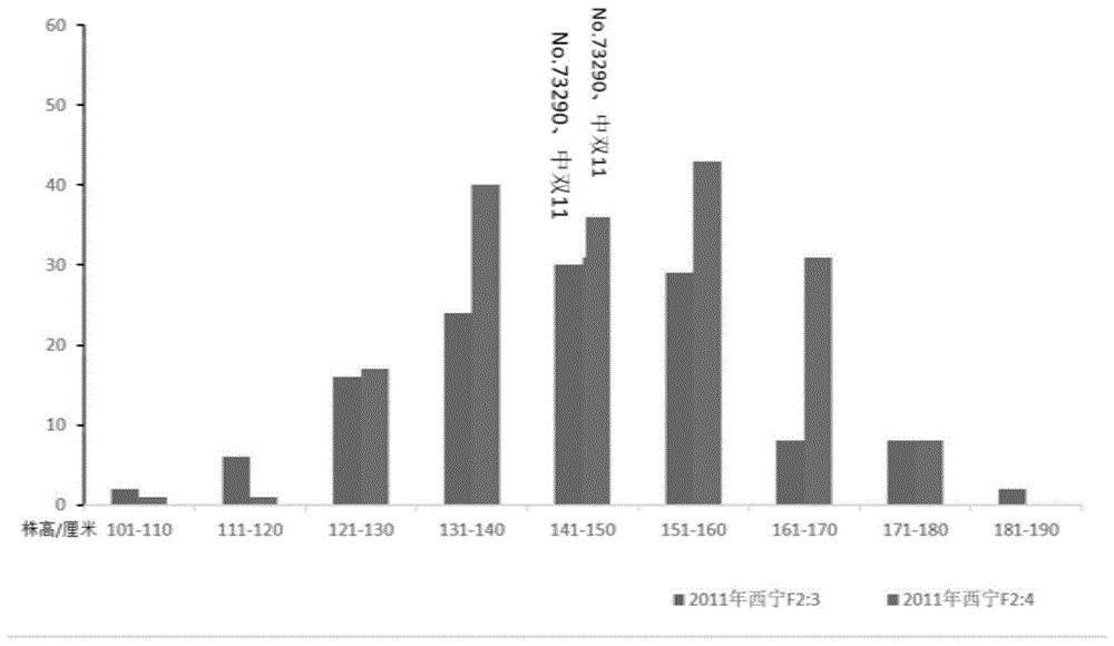 一种与油菜株高主效QTL位点qPHC2紧密连锁的分子标记及应用