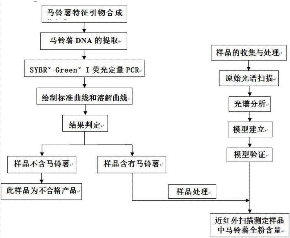 马铃薯复配主食中马铃薯含量的测定方法