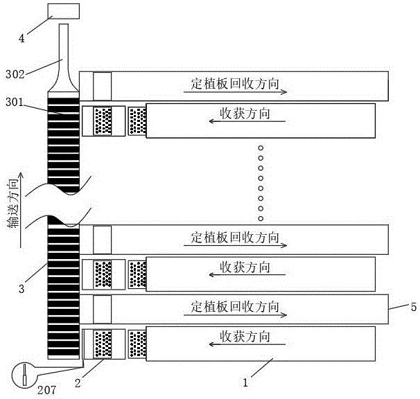 水培蔬菜全自动收获生产线