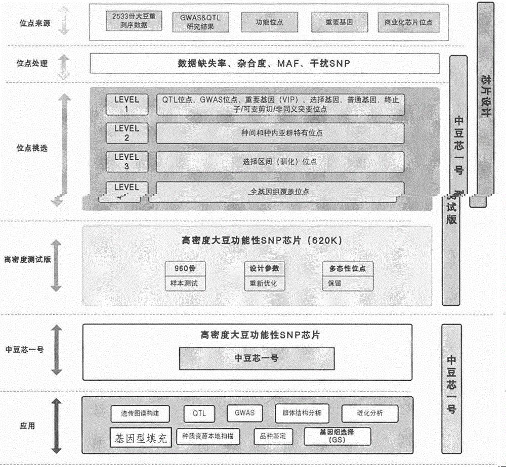 一种大豆SNP分型检测芯片及其在分子育种与基础研究中的应用