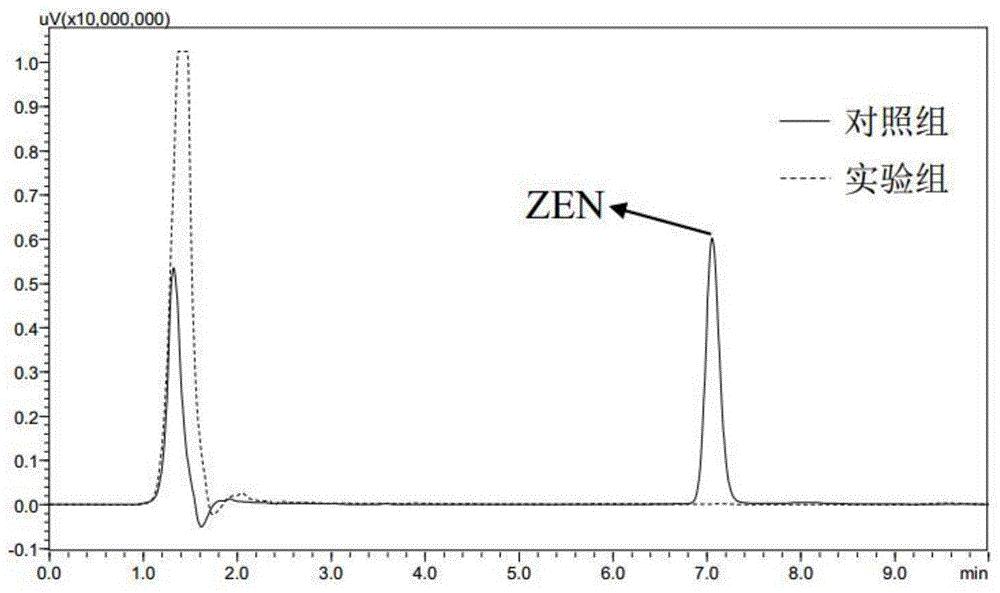 暹罗芽孢杆菌ZJ-2018-1及降解霉菌毒素的菌剂和应用