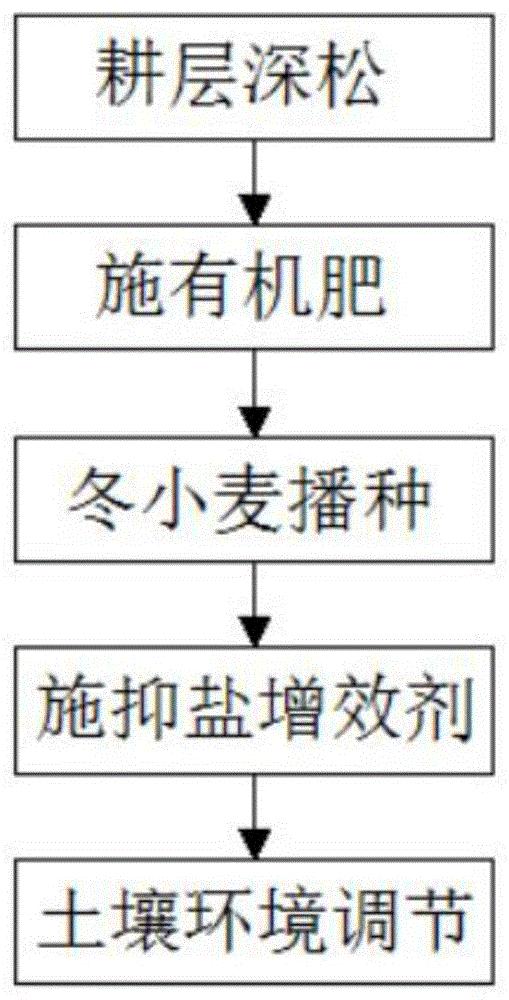 一种冬小麦抑盐增效的面源污染控制方法