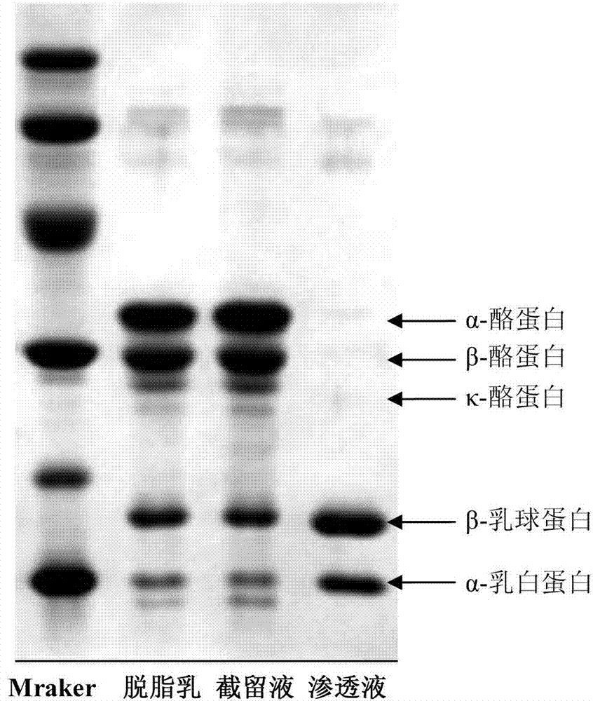 酪蛋白粉及其制备方法