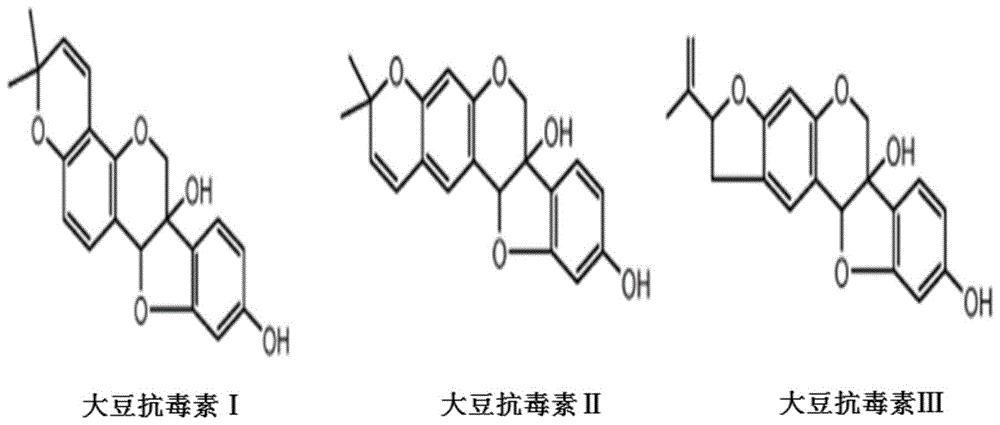 一株诱导大豆产生大豆抗毒素的解淀粉芽孢杆菌及其用途