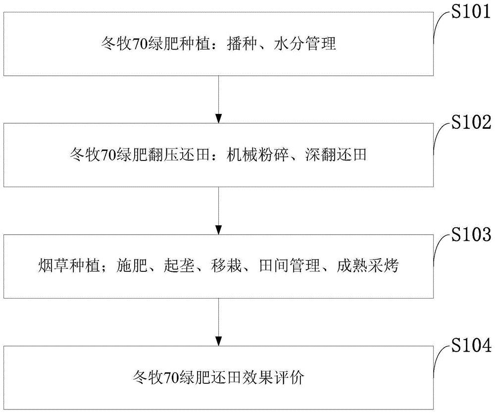 一种北方冷寒烟区冬牧70绿肥翻压还田方法