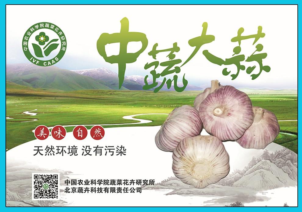 包装盒（大蒜）