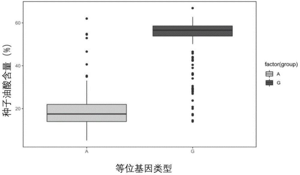甘蓝型油菜种子油酸含量的主效QTL位点、SNP分子标记及其应用