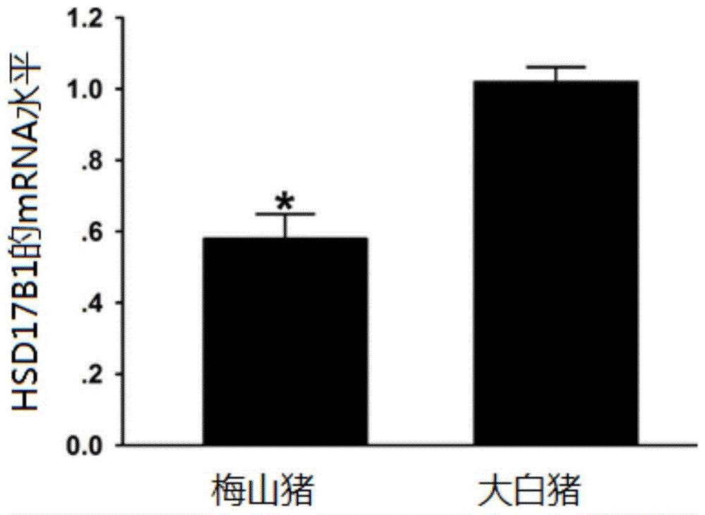 猪多组学整合精准育种方法