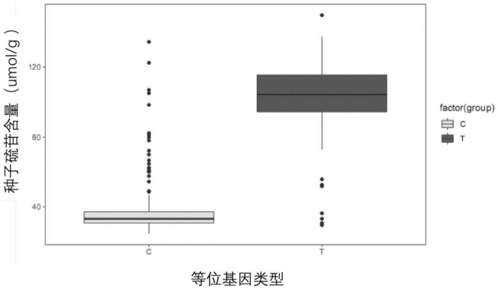甘蓝型油菜种子硫苷含量的主效QTL位点、SNP分子标记及其应用