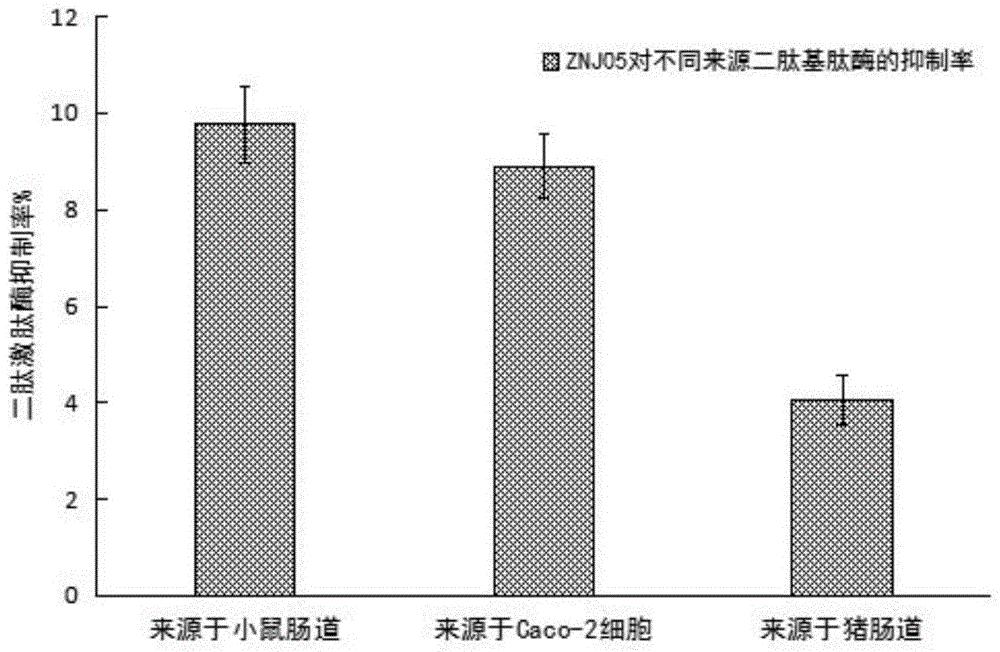 具有二肽基肽酶-IV高抑制活性的鼠李糖乳杆菌及其应用