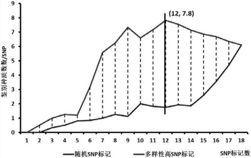 大豆身份证的重要性状SNP标记组合筛选方法与应用