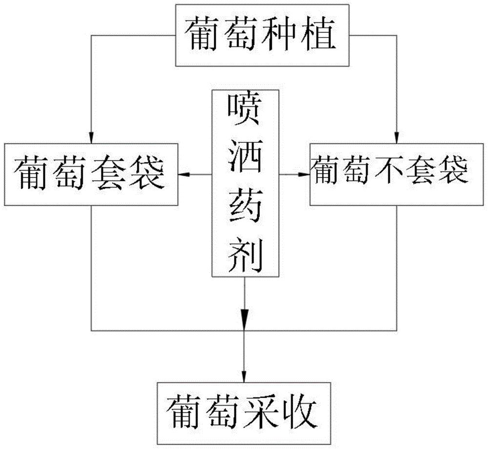 一种减少化学农药使用次数防治葡萄灰霉病的方法