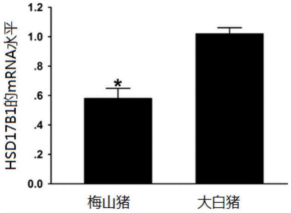 猪多组学整合精准育种方法