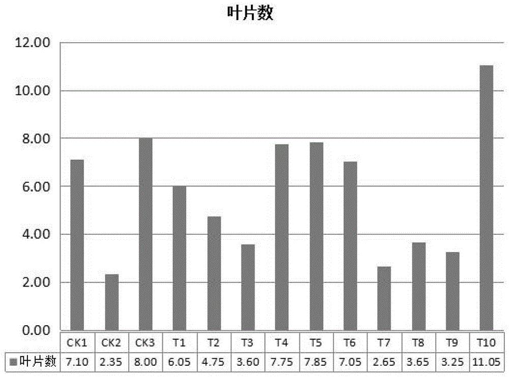 微型盆栽月季可再生型营养基质及其配套营养液