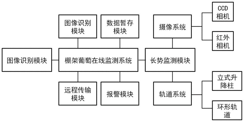 一种棚架葡萄在线监测系统及监测方法