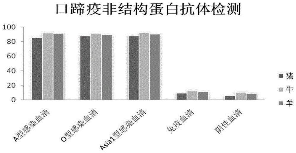 分泌口蹄疫病毒非结构蛋白单克隆抗体3A10的杂交瘤细胞系及其应用