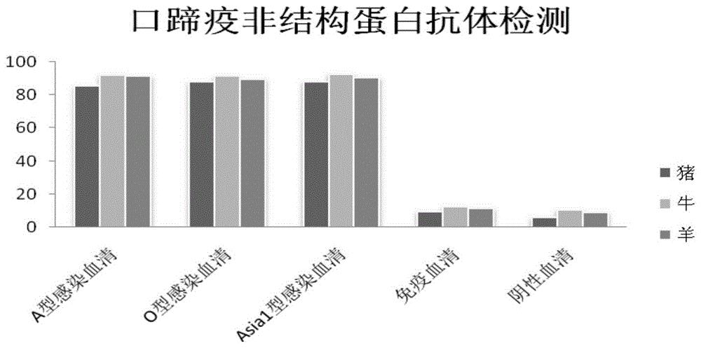 分泌口蹄疫病毒非结构蛋白单克隆抗体2H1的杂交瘤细胞系及其应用