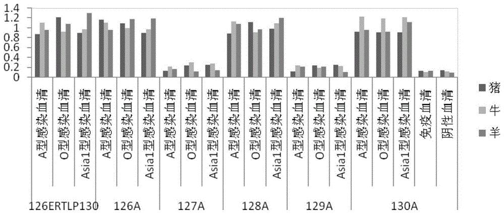 口蹄疫病毒非结构蛋白3A抗原表位肽及其应用