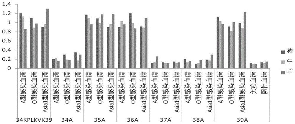 口蹄疫病毒非结构蛋白3B抗原表位肽及其应用
