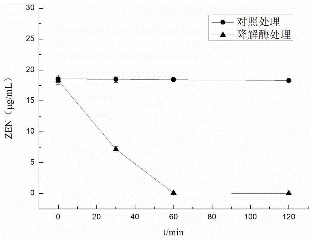 一种耐酸性玉米赤霉烯酮解毒酶及其编码基因与应用