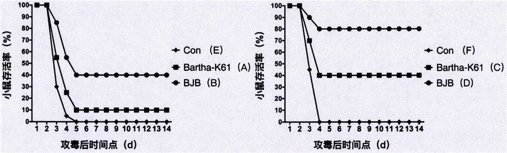 伪狂犬病毒基因工程gB重组弱毒疫苗株及应用