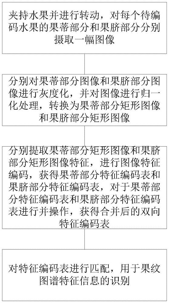 一种基于果纹图谱信息的编码和识别方法及装置