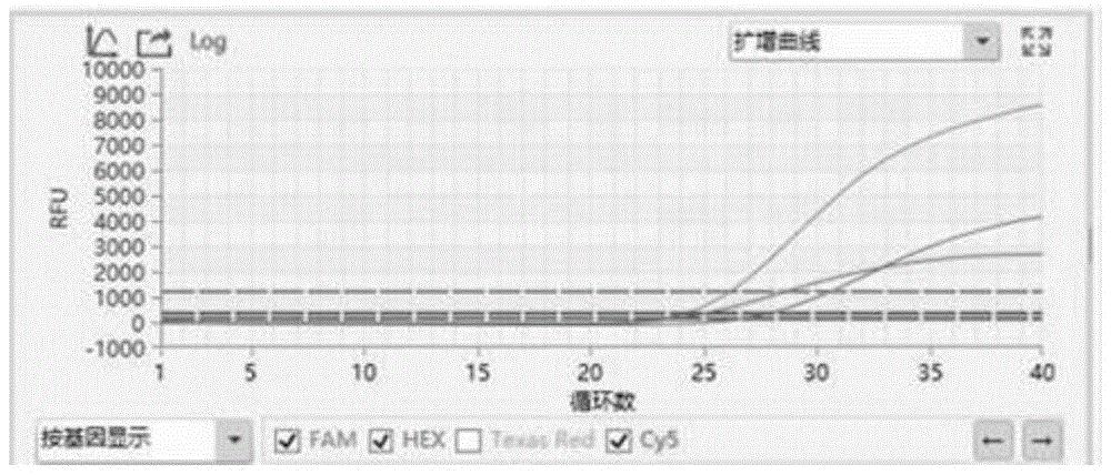 非洲猪瘟病毒强弱毒荧光定量PCR鉴别诊断试剂盒