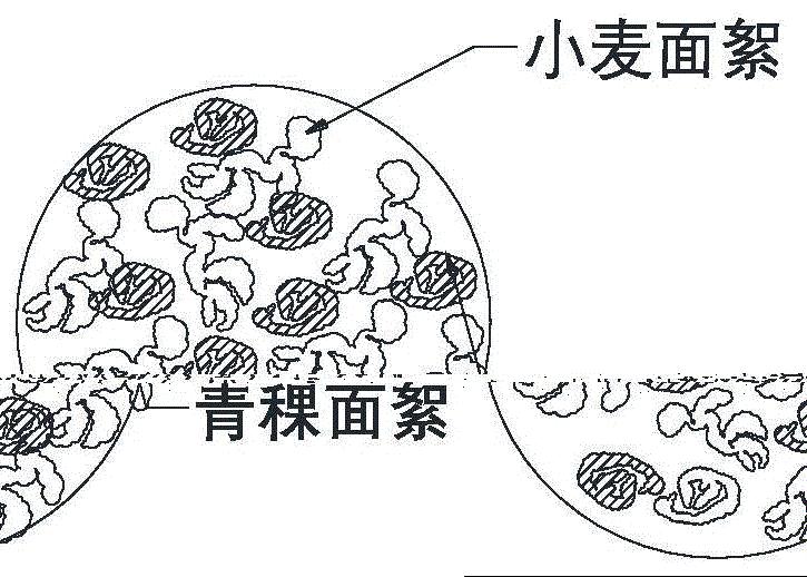 青稞面条的加工工艺