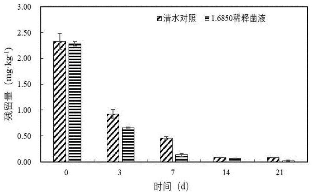 一株庆笙红球菌RYCS-1及其培养方法和应用
