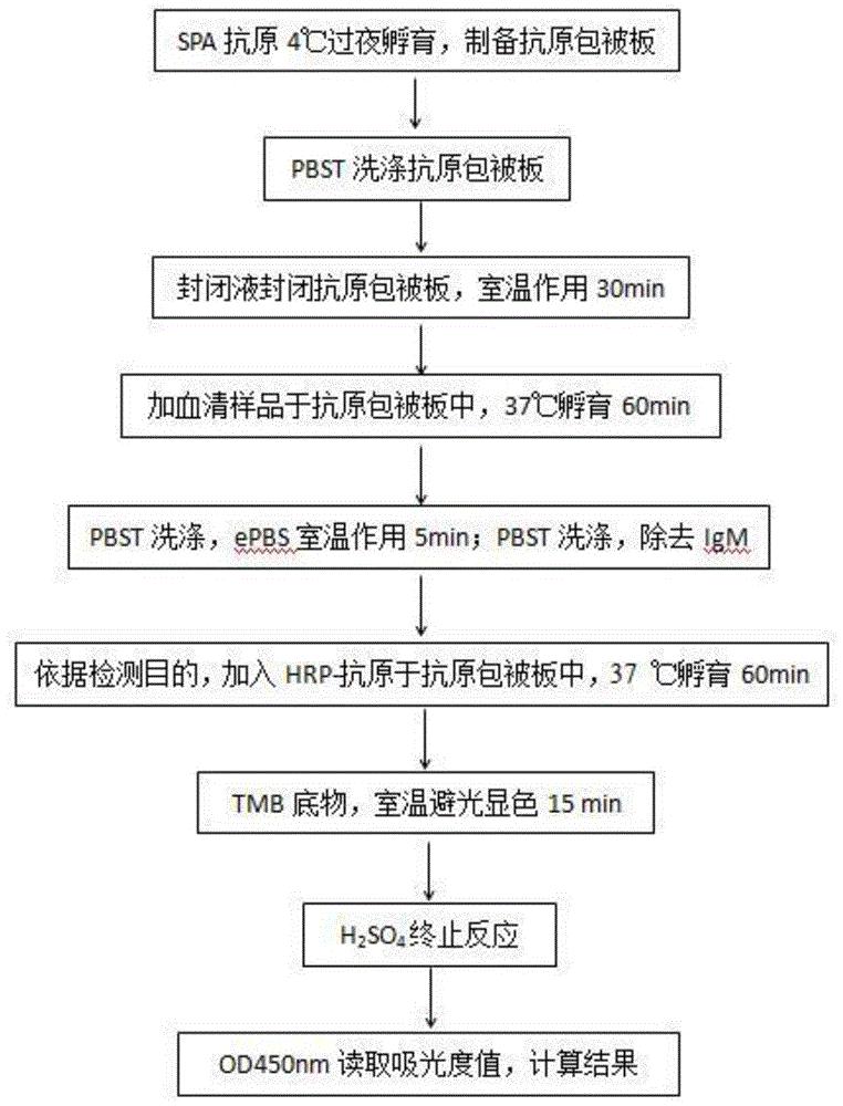 一种猪病毒性传染病血清IgG抗体多重ELISA检测试剂盒及其检测方法