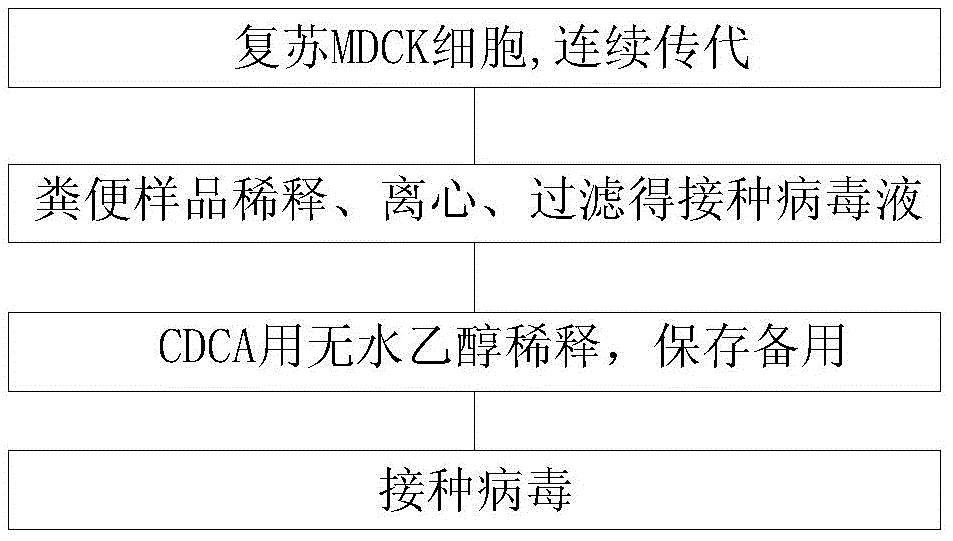 一种猪嵴病毒的培养方法