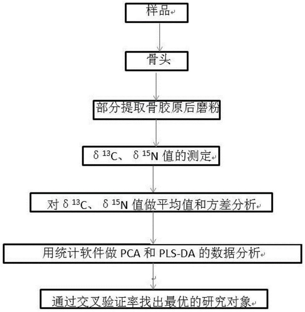 应用骨胶原的稳定同位素对肉羊产地溯源的方法