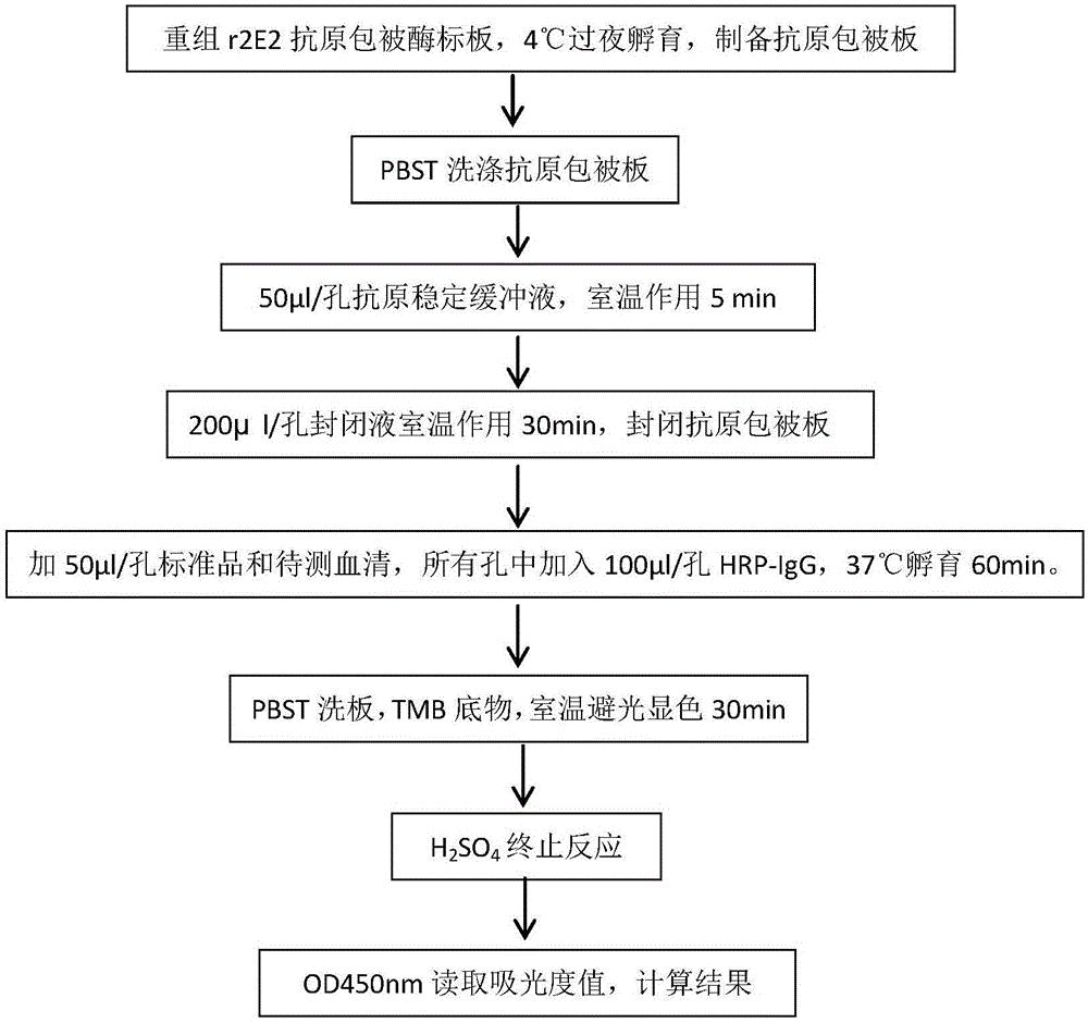 一种定量检测猪瘟病毒IgG抗体竞争ELISA试剂盒及其检测方法