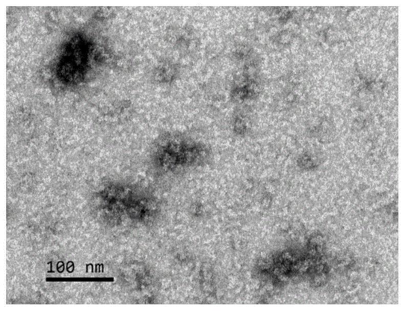 基于自组装铁蛋白纳米抗原颗粒、小反刍兽疫疫苗及其制备方法和应用