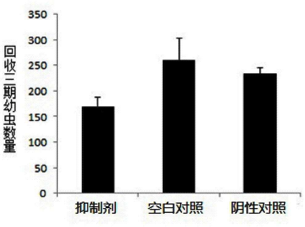 一种蛔虫miRNA抑制剂及其应用