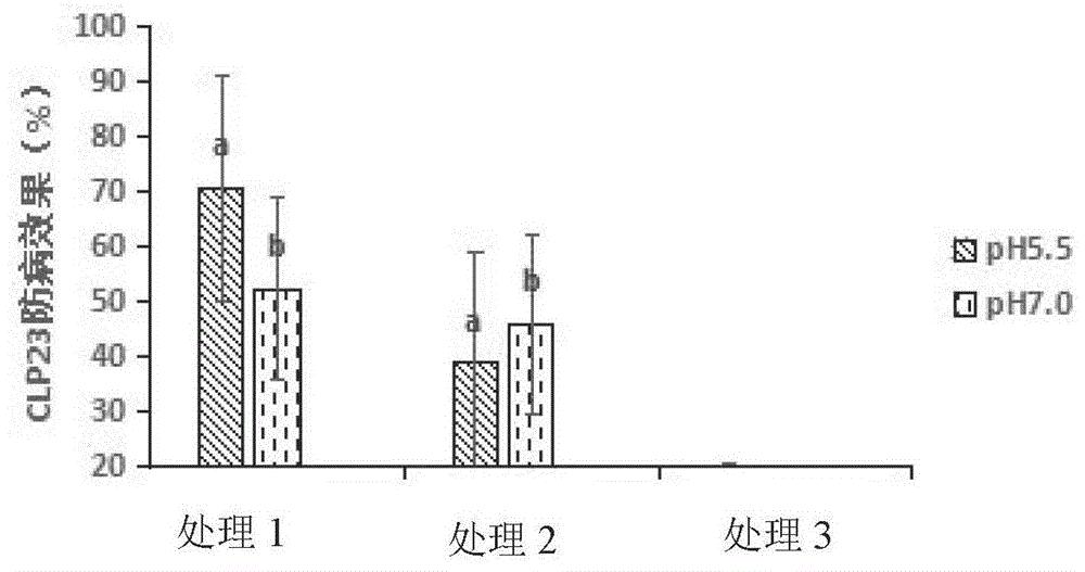一种生物菌剂及其制备方法和应用