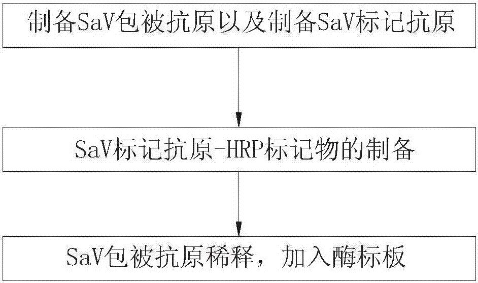 一种猪札幌病毒总抗体ELISA检测试剂盒及其制备方法