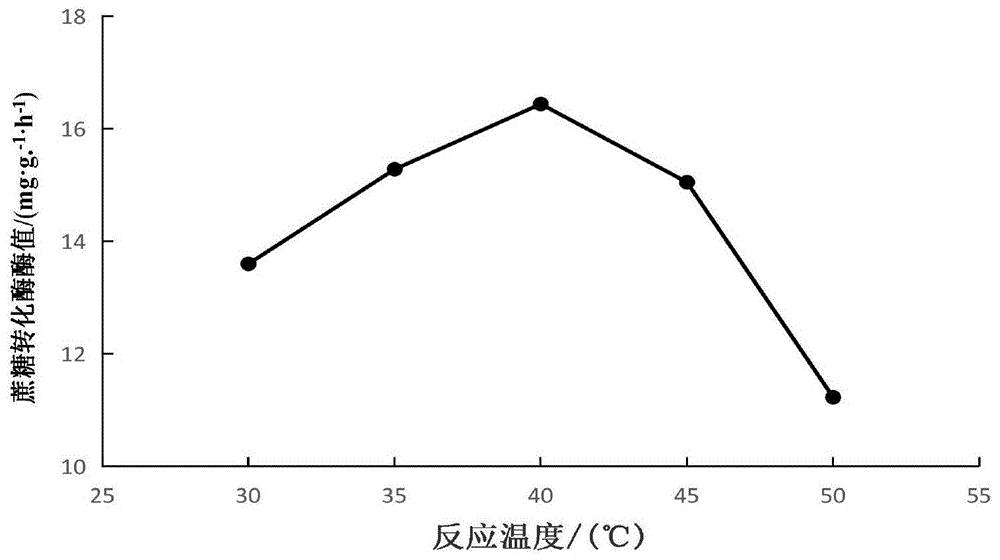 一种蜂蜜中蔗糖转化酶酶值的检测方法