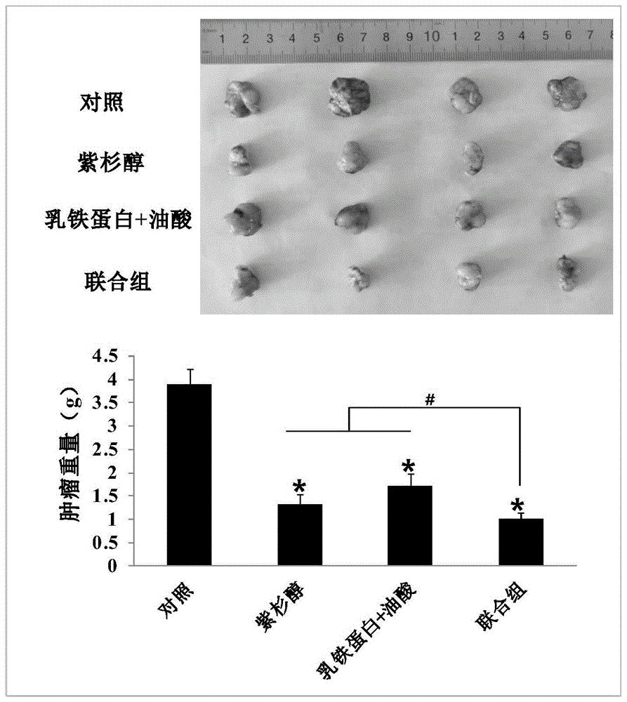 一种包含乳蛋白和油酸的药物组合物