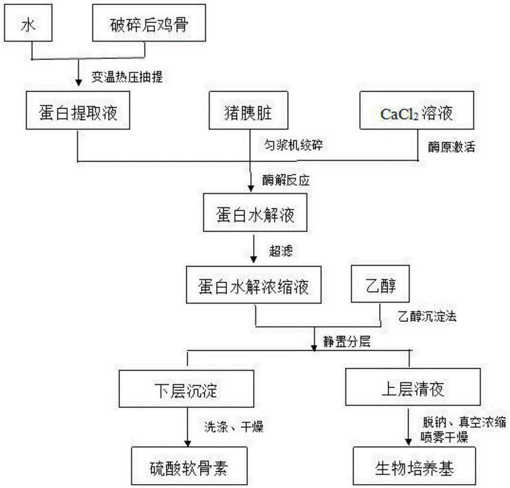一种猪胰脏和鸡骨联产硫酸软骨素与生物培养基的方法